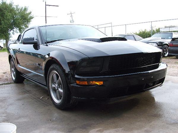 What's it look like on a Black Stang???-2yns1p5.jpg