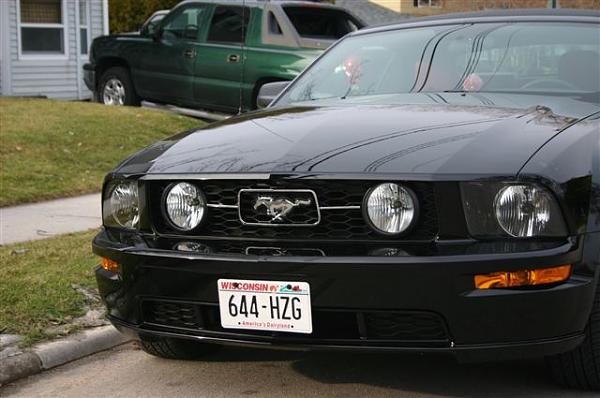 What's it look like on a Black Stang???-img_1369.jpg