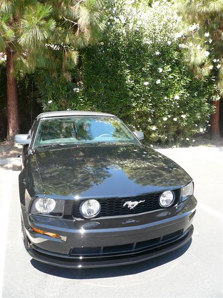 What's it look like on a Black Stang???-chin_spoiler_001.jpg