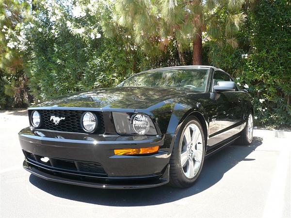 What's it look like on a Black Stang???-chin_spoiler_003.jpg
