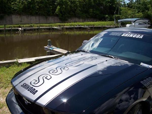 Black stangs with boss stripes!-water2.jpg