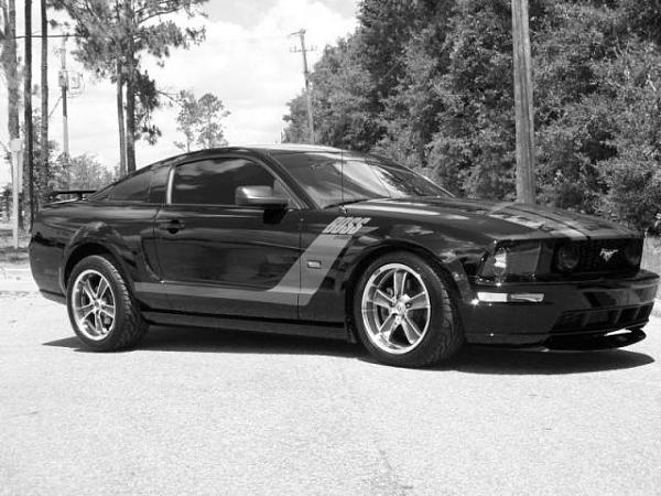 Black stangs with boss stripes!-blackwhite.jpg