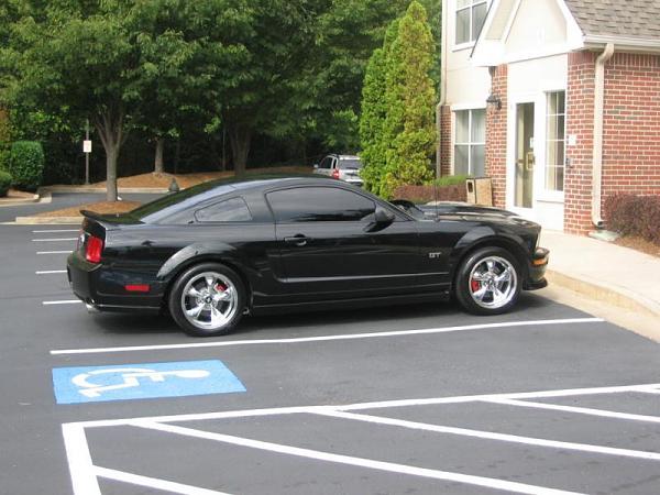 What's it look like on a Black Stang???-vbpgimage.jpg