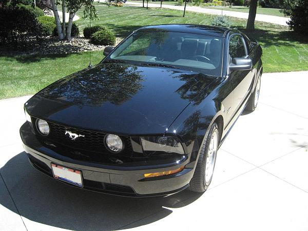 * Black Mustang Check-In *-2.jpg