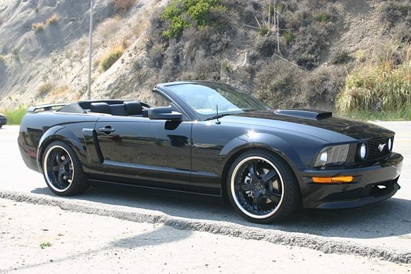 * Black Mustang Check-In *-haloween06_mustangcruise-014222.jpg