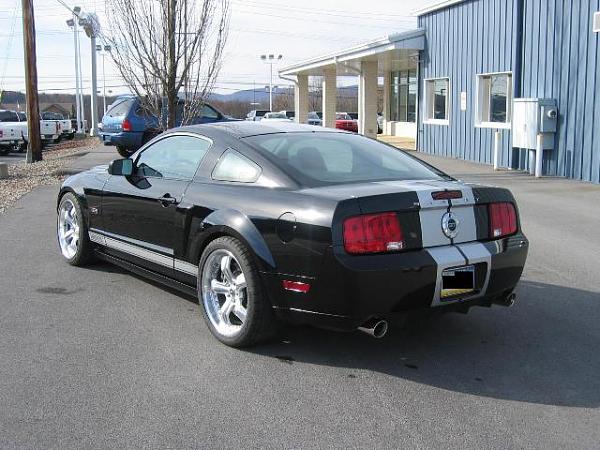 * Black Mustang Check-In *-shelby1-0132.jpg