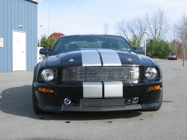 * Black Mustang Check-In *-shelby1-011.jpg