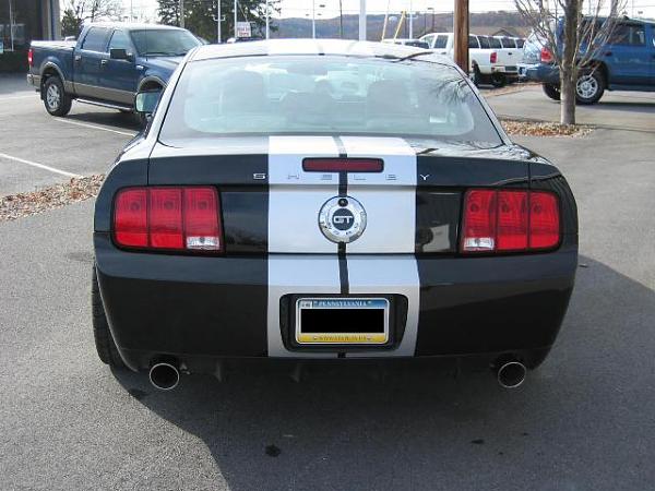 * Black Mustang Check-In *-shelby1-0142.jpg