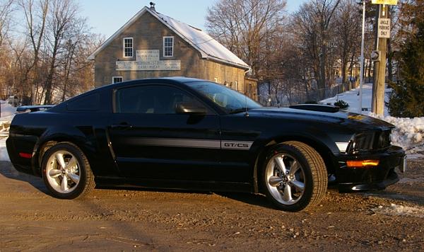 * Black Mustang Check-In *-gtcs9999.jpg