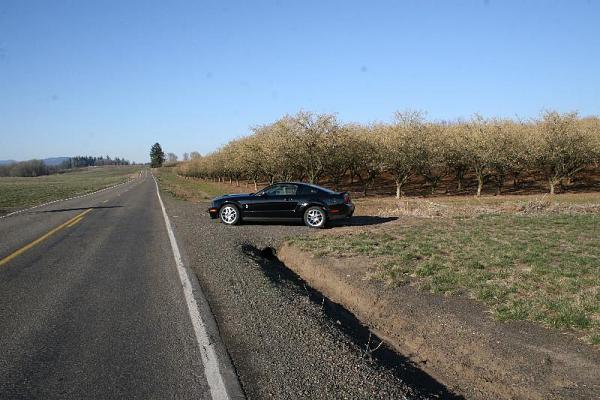 2005-2009 S-197 Gen 1 FORD MUSTANG Black Picture Gallery!-img_4774.jpg