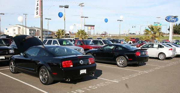 2007-2009 S-197 Gen 1 FORD MUSTANG Black Picture Gallery!-img_5450c.jpg