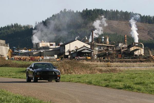 2005-2009 S-197 Gen 1 FORD MUSTANG Black Picture Gallery!-img_5646.jpg