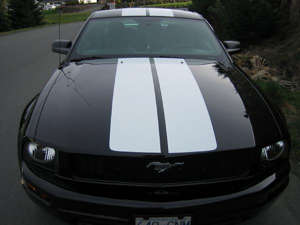 2005-2009 S-197 Gen 1 FORD MUSTANG Black Picture Gallery!-img_0103_1_1_1.jpg