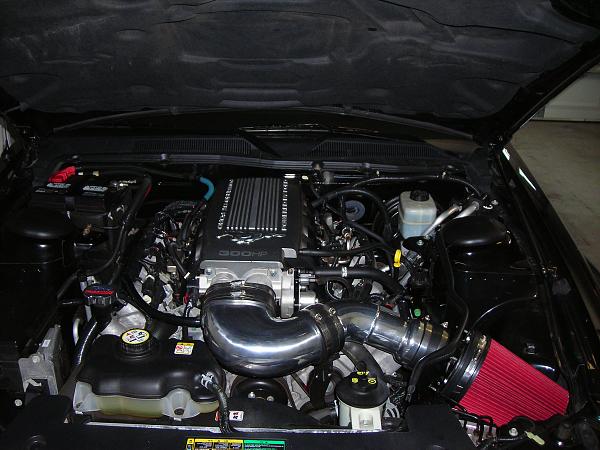 2005-2009 S-197 Gen 1 FORD MUSTANG Black Picture Gallery!-dscn0169.jpg