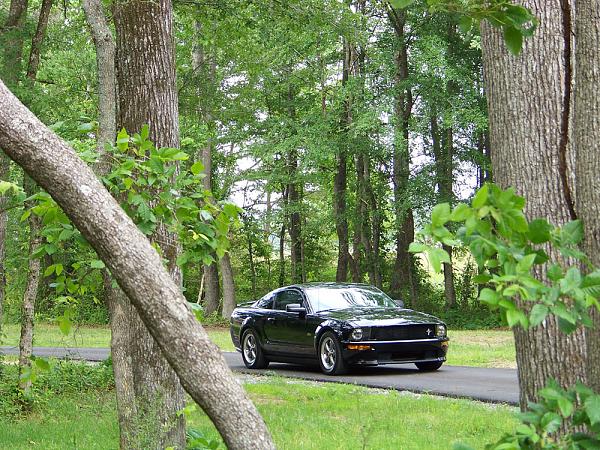 2005-2009 S-197 Gen 1 FORD MUSTANG Black Picture Gallery!-may-2008-pic1.jpg