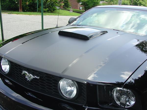 2005-2009 S-197 Gen 1 FORD MUSTANG Black Picture Gallery!-dsc09631.jpg
