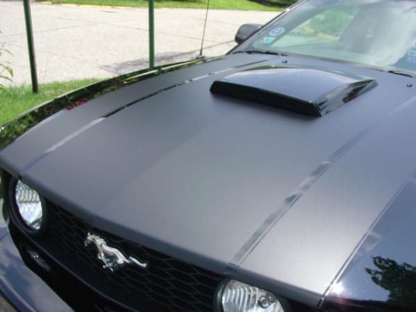 2005-2009 S-197 Gen 1 FORD MUSTANG Black Picture Gallery!-dsc09626.jpg