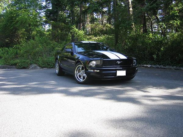 2005-2009 S-197 Gen 1 FORD MUSTANG Black Picture Gallery!-01_05-copy.jpg