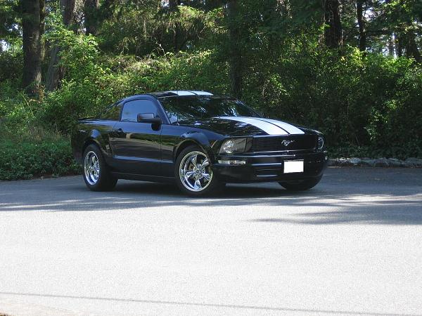 2005-2009 S-197 Gen 1 FORD MUSTANG Black Picture Gallery!-01_10-copy.jpg