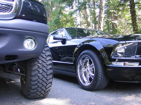 2005-2009 S-197 Gen 1 FORD MUSTANG Black Picture Gallery!-01_42-copy.jpg