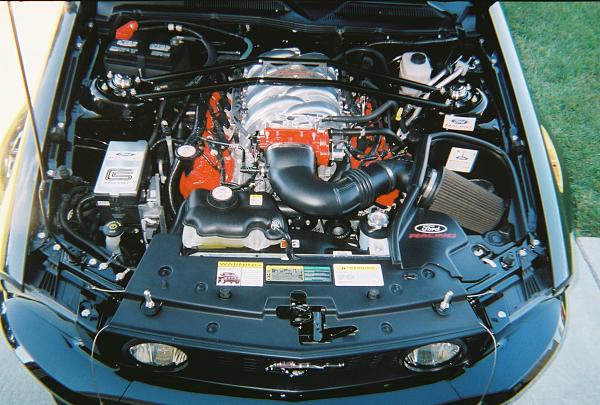 2005-2009 S-197 Gen 1 FORD MUSTANG Black Picture Gallery!-451558-r1-22-21a.jpg