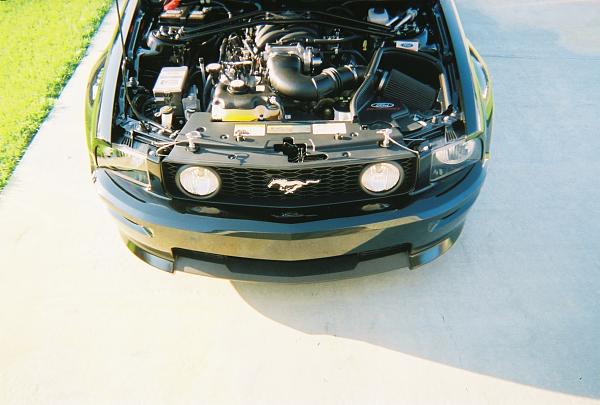 2005-2009 S-197 Gen 1 FORD MUSTANG Black Picture Gallery!-173121-r1-02-1a.jpg