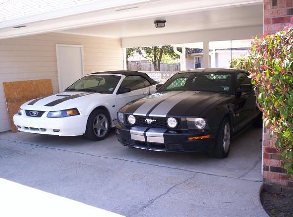 2005-2009 S-197 Gen 1 FORD MUSTANG Black Picture Gallery!-072000.jpg