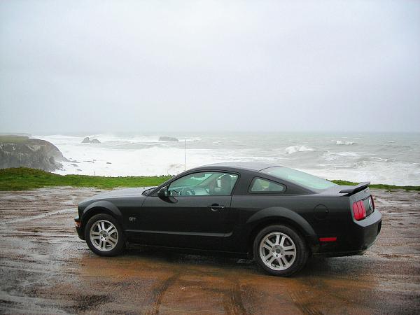 2005-2009 S-197 Gen 1 FORD MUSTANG Black Picture Gallery!-fscn0736.jpg