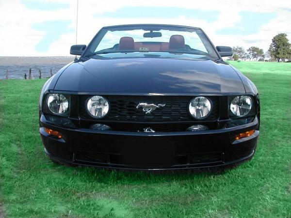 2007-2009 S-197 Gen 1 FORD MUSTANG Black Picture Gallery!-dscn3062-800x600-retouched.jpg