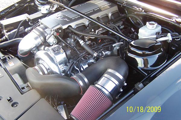 2005-2009 S-197 Gen 1 FORD MUSTANG Black Picture Gallery!-100_2206.jpg