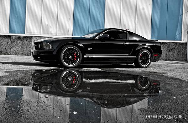 2007-2009 S-197 Gen 1 FORD MUSTANG Black Picture Gallery!-5012581786_253a6af2e6_o.jpg