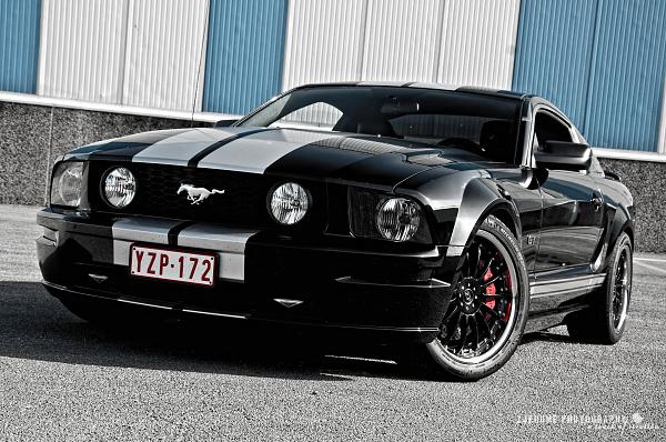 2007-2009 S-197 Gen 1 FORD MUSTANG Black Picture Gallery!-5012582500_cac3f81cf1_o.jpg