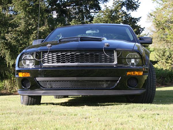 2005-2009 S-197 Gen 1 FORD MUSTANG Black Picture Gallery!-img_1548c.jpg