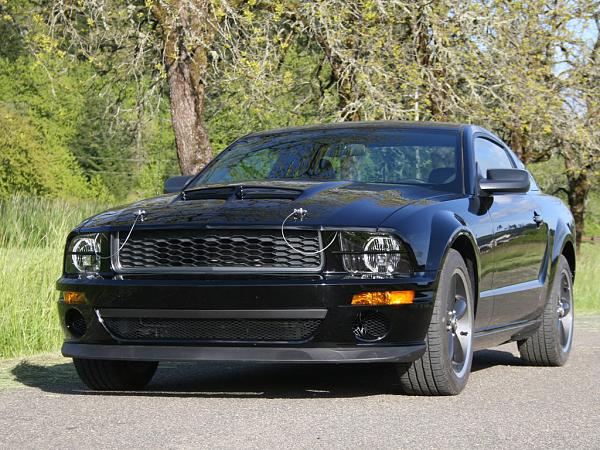 2005-2009 S-197 Gen 1 FORD MUSTANG Black Picture Gallery!-img_1604c.jpg