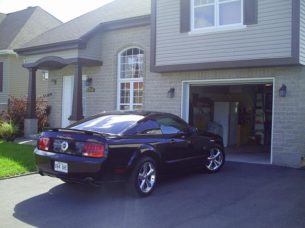 2005-2009 S-197 Gen 1 FORD MUSTANG Black Picture Gallery!-pict0113.jpg