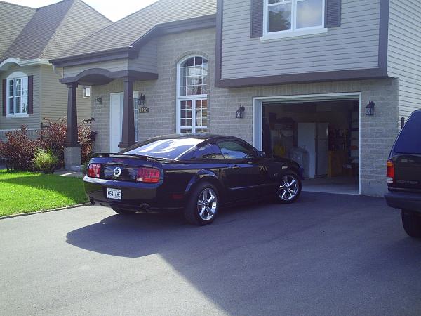 2007-2009 S-197 Gen 1 FORD MUSTANG Black Picture Gallery!-pict0112.jpg