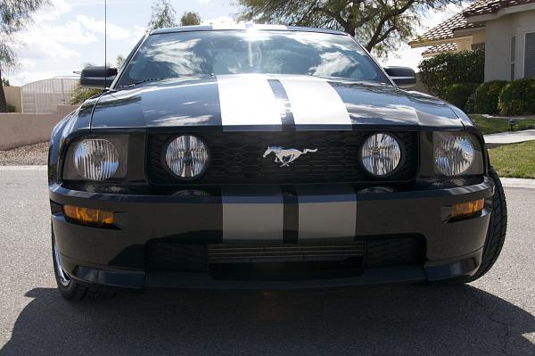 2005-2009 S-197 Gen 1 FORD MUSTANG Black Picture Gallery!-dsc_7421.jpg