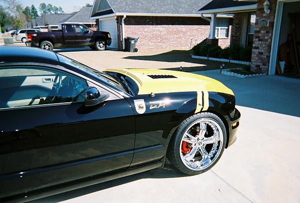 2007-2009 S-197 Gen 1 FORD MUSTANG Black Picture Gallery!-626334-r1-05-20a.jpg