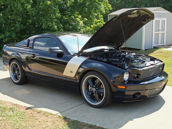2005-2009 S-197 Gen 1 FORD MUSTANG Black Picture Gallery!-100_0017sm.jpg