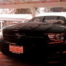 Name:  image-775956649.jpg
Views: 409
Size:  21.0 KB