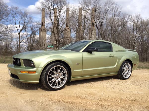 2005-2006 S-197 Gen 1 Mustang Legend Lime Photo Gallery-image-2015326424.jpg