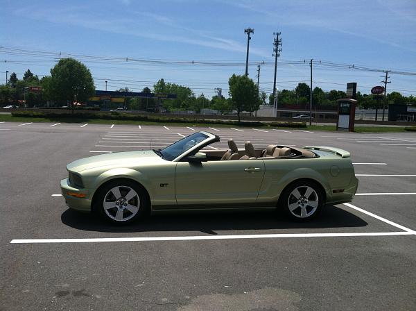 2005-2006 S-197 Gen 1 Mustang Legend Lime Photo Gallery-img_1069-1-.jpg