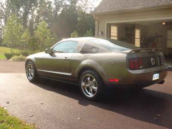 2005 S-197 Mustang S-197 Gen 1 Mineral Gray Picture Gallery-picture-020.jpg