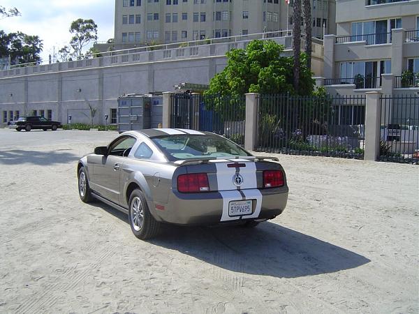 2005 S-197 Mustang S-197 Gen 1 Mineral Gray Picture Gallery-stripes2.jpg