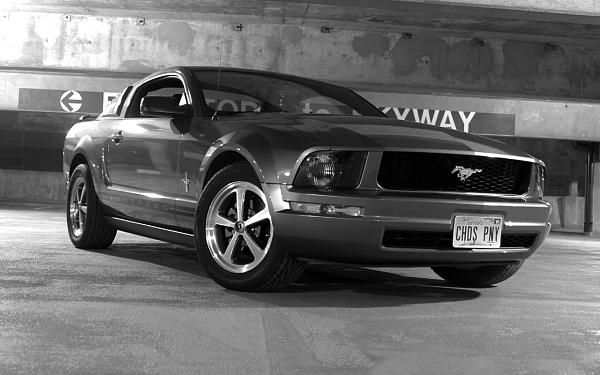 2005 S-197 Mustang S-197 Gen 1 Mineral Gray Picture Gallery-img_1120bw-copy.jpg