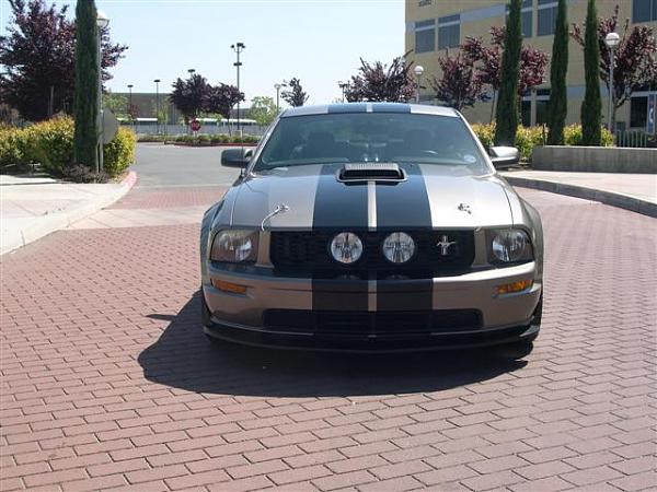 2005 S-197 Mustang S-197 Gen 1 Mineral Gray Picture Gallery-pictures-216-small-.jpg