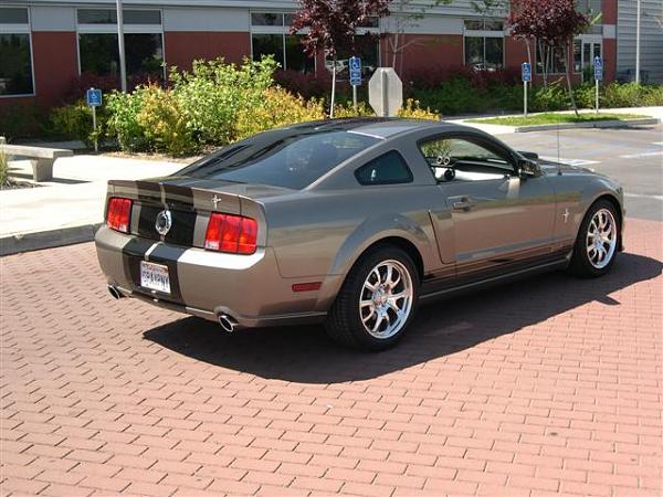 2005 S-197 Mustang S-197 Gen 1 Mineral Gray Picture Gallery-pictures-219-small-.jpg