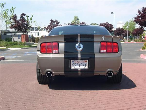 2005 S-197 Mustang S-197 Gen 1 Mineral Gray Picture Gallery-pictures-220-small-.jpg
