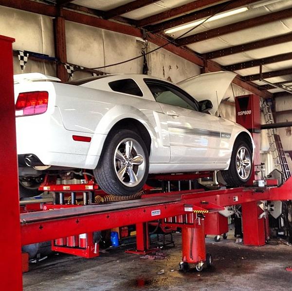 2005-2009 S-197 Gen 1 Performance White Mustang Picture Gallery-image-338217777.jpg