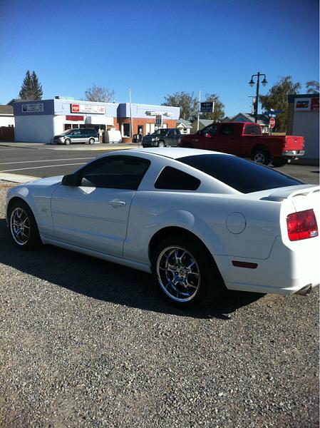 2005-2009 S-197 Gen 1 Performance White Mustang Picture Gallery-image-2978404204.jpg